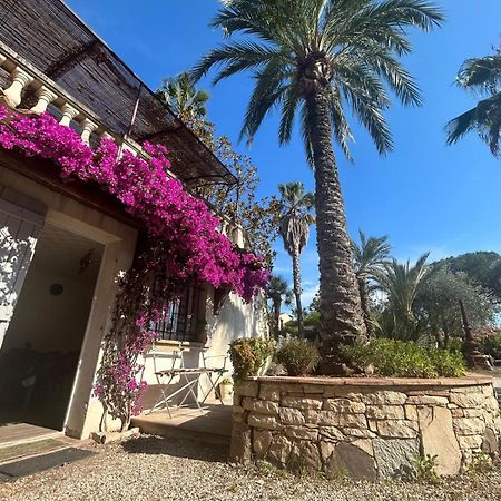 Les Palmiers Apartment Frejus Ngoại thất bức ảnh