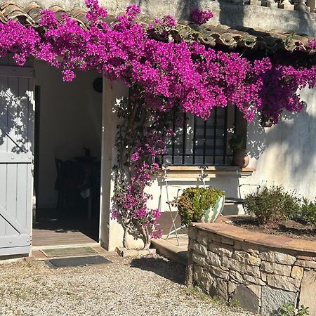 Les Palmiers Apartment Frejus Ngoại thất bức ảnh