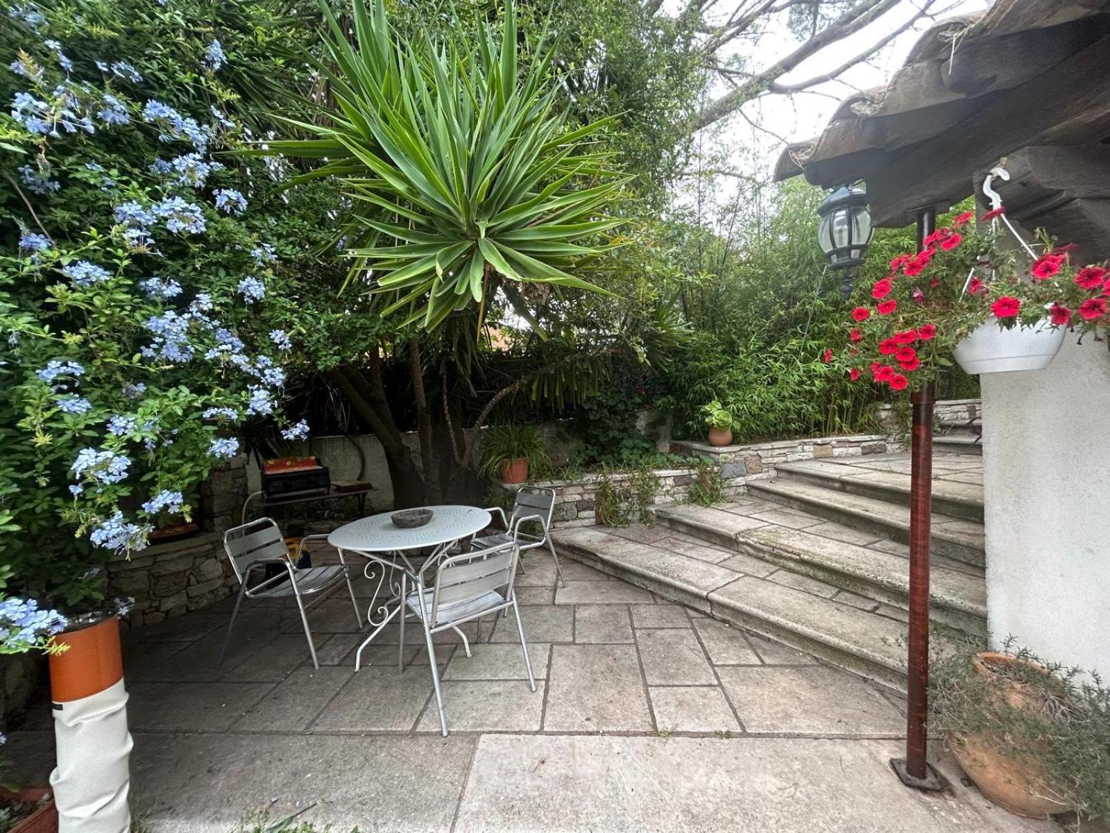 Les Palmiers Apartment Frejus Ngoại thất bức ảnh