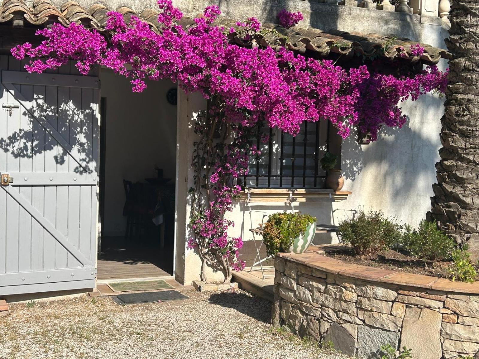 Les Palmiers Apartment Frejus Ngoại thất bức ảnh